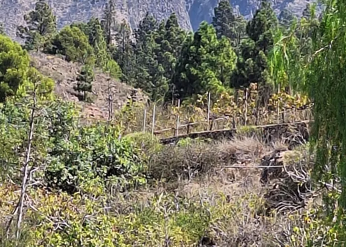 Casa El Pino B 公寓