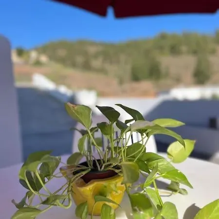 Casa El Pino B * Vera de Erque