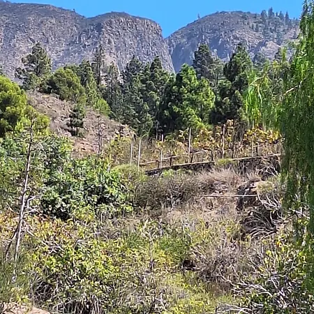 Casa El Pino B شقة